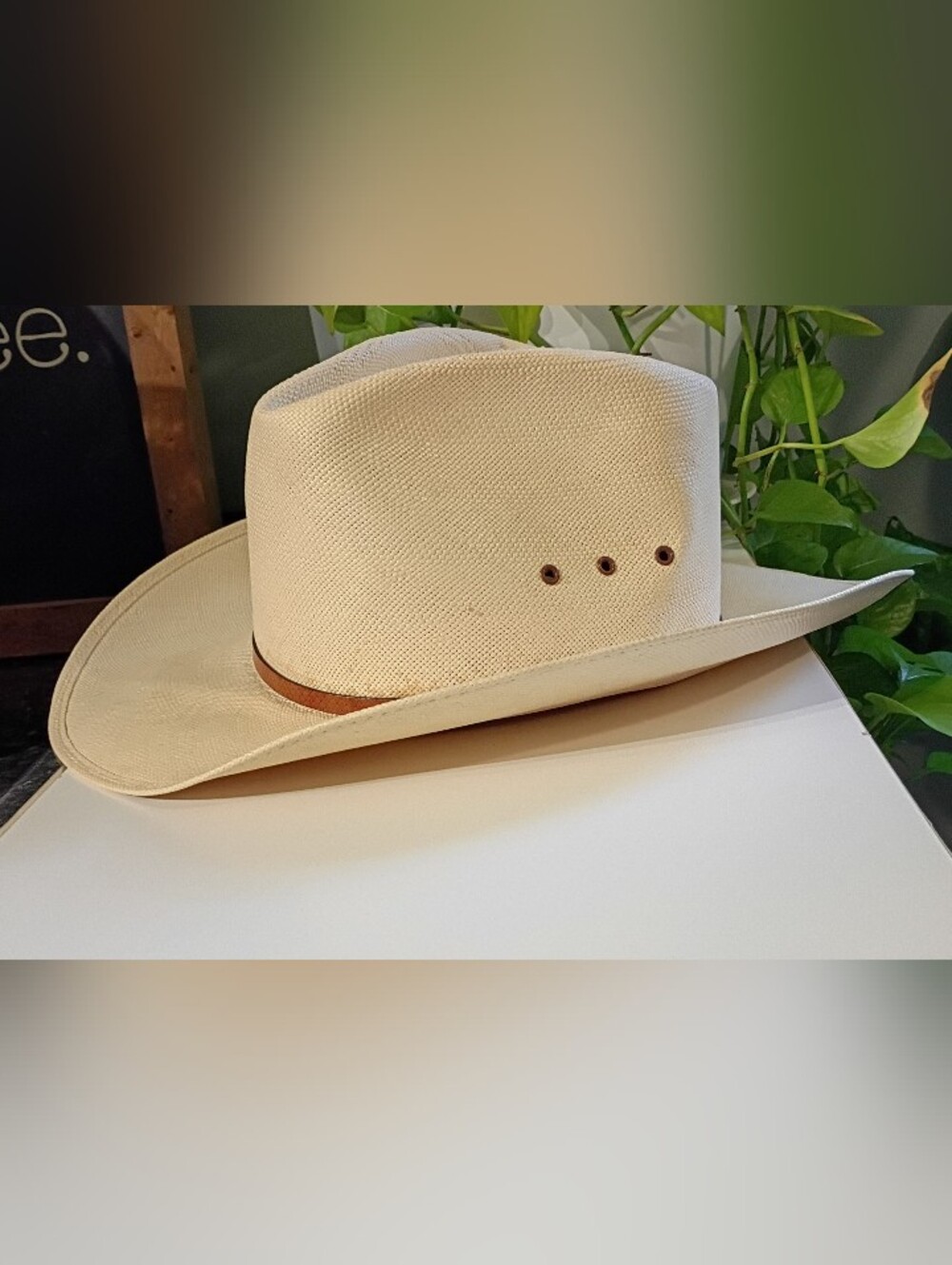 Men's Cream Straw Western Hat with Brown Band